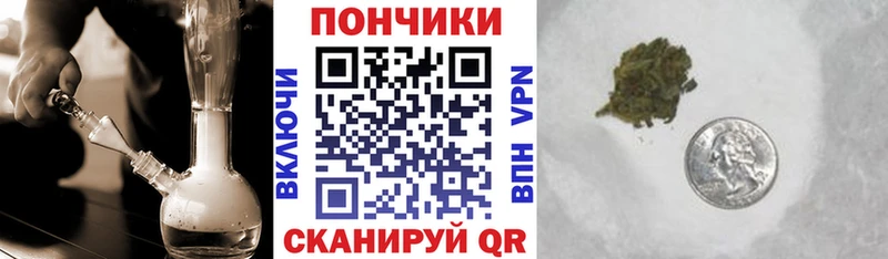 Конопля гибрид  Светлоград 